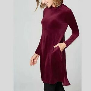 J. Jill Cassis Long Sleeve Velour Dress Size Large‎ Burgundy Wine Pockets NWT